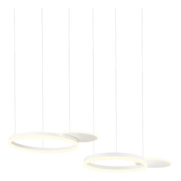 Redo 01-2605 - LED luster na sajli SIGUA s mogućnošću prigušivanja LED/99W/230V CRI 90 bijela
