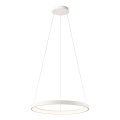 Redo 01-2672 - LED luster na sajli ICONIC, s mogućnošću prigušivanja, LED/50W/230V, Ø 58 cm, bijela