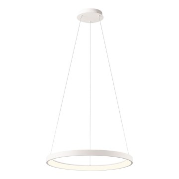 Redo 01-2672 - LED luster na sajli ICONIC, s mogućnošću prigušivanja, LED/50W/230V, Ø 58 cm, bijela