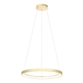 Redo 01-2673 - LED prigušivački luster na užetu ICONIC LED/50W/230V promjer 58 cm zlatna