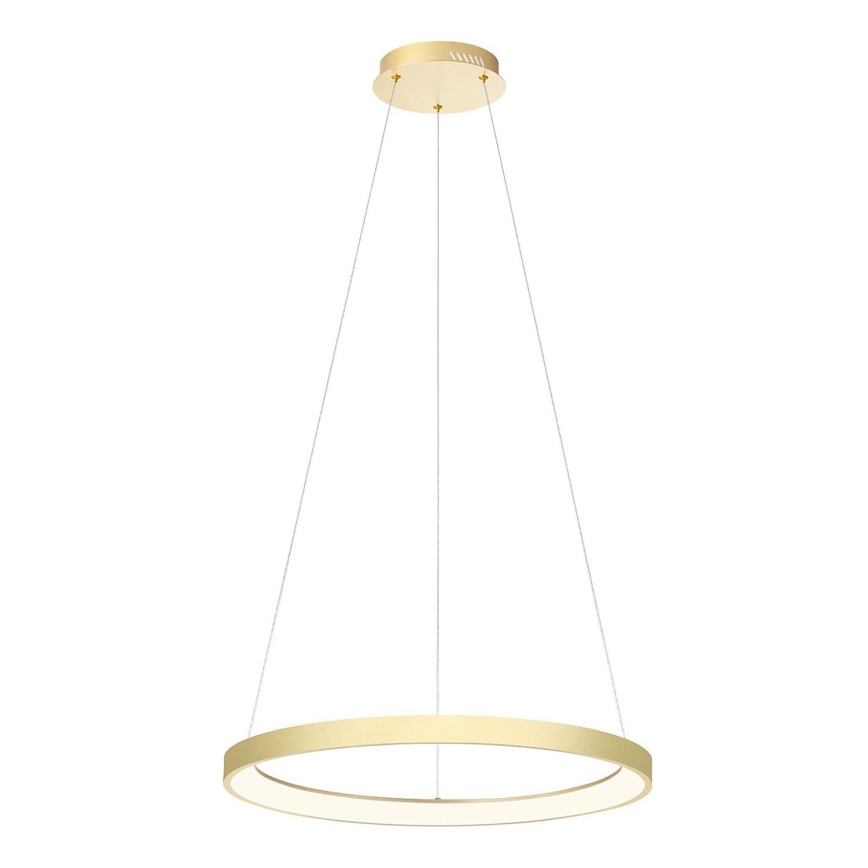Redo 01-2673 - LED Prigušivi luster na sajli ICONIC LED/50W/230V pr. 58 cm zlatna