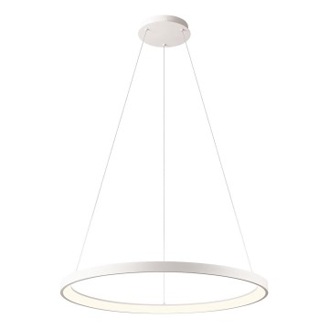 Redo 01-2675 - LED luster s mogućnošću prigušivanja na sajli ICONIC LED/60W/230V, Ø 78 cm, bijela