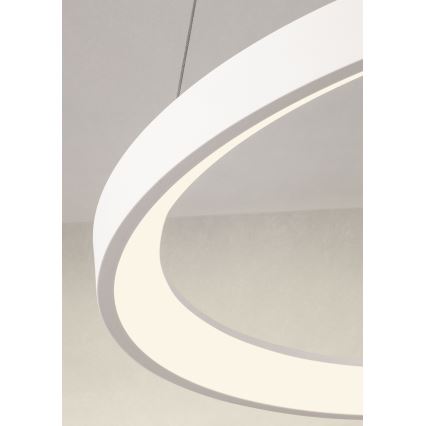 Redo 01-2675 - LED luster s mogućnošću prigušivanja na sajli ICONIC LED/60W/230V, Ø 78 cm, bijela