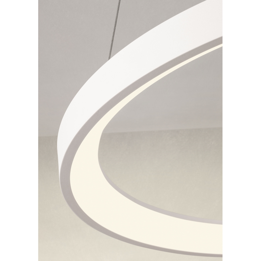 Redo 01-2675 - LED luster s mogućnošću prigušivanja na sajli ICONIC LED/60W/230V, Ø 78 cm, bijela