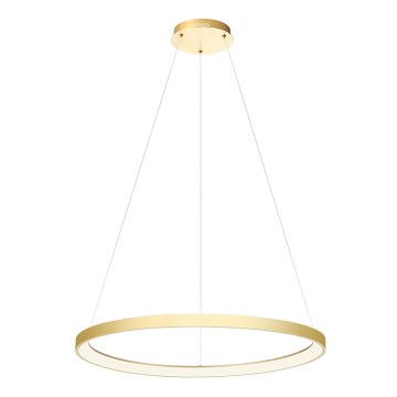 Redo 01-2676 - LED prigušivački luster na užetu ICONIC LED/60W/230V promjer 78 cm zlatna