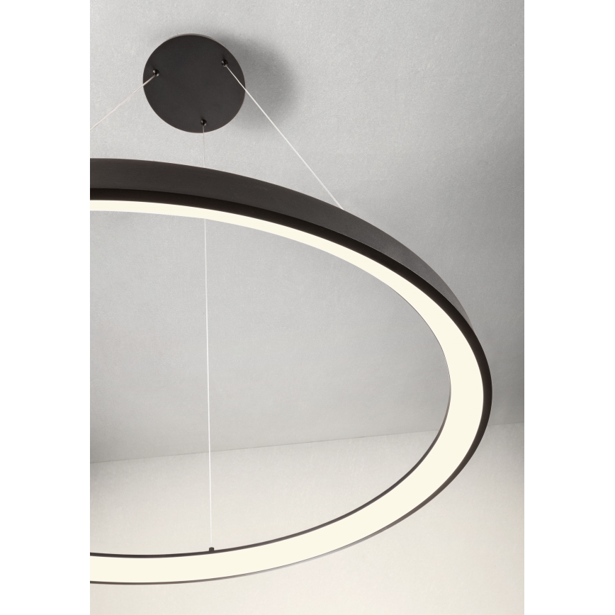 Redo 01-2677 - LED Prigušivi luster na sajli ICONIC LED/60W/230V pr. 78 cm crna