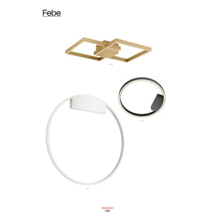 Redo 01-2835 - LED zidno svjetlo s mogućnošću prigušivanja FEBE LED/24W/230V zlatno