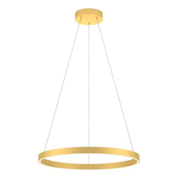 Redo 01-2865 - LED luster s mogućnošću prigušivanja na sajli FEBE LED/37W/230V zlatni