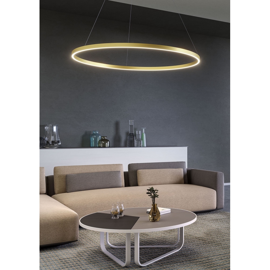Redo 01-2865 - LED luster s mogućnošću prigušivanja na sajli FEBE LED/37W/230V zlatni