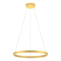 Redo 01-2865 - LED luster s prigušivanjem na užetu FEBE LED/37W/230V zlatna