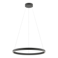 Redo 01-2867 - LED prigušivač luster na užetu FEBE LED/37W/230V crna