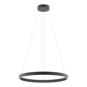 Redo 01-2867 - LED prigušivač luster na užetu FEBE LED/37W/230V crna