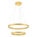 Redo 01-2889 - LED luster s prigušivanjem na užetu FEBE LED/62W/230V zlatna