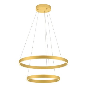 Redo 01-2889 - LED luster s prigušivanjem na užetu FEBE LED/62W/230V zlatna