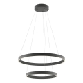 Redo 01-2891 - LED luster s prigušivanjem na užetu FEBE LED/62W/230V crna