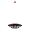 Redo 01-3009 - Viseći luster na sajli GRILL 1xE27/42W/230V Ø 49,5 cm crna/smeđa