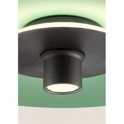 Redo 01-3019 - LED luster na sajli LARS LED/14W/230V + LED/10W Ø 60 cm CRI 90 zelena