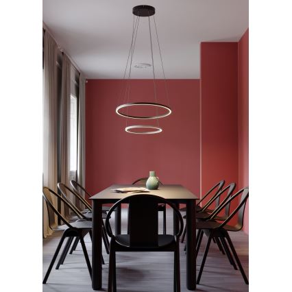 Redo 01-3343 - LED luster na sajli LEO s mogućnošću prigušivanja LED/115W/230V 3000/4000K CRI 90 crni