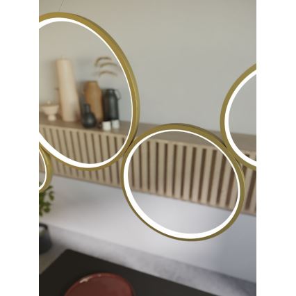 Redo 01-3383 - LED prigušivački luster na užetu ATHENA LED/40W/230V 3000/4000/6000K CRI98 zlatna