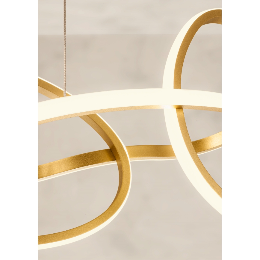 Redo 01-3392 - Luster na sajli s mogućnošću prigušivanja BIAS LED/120W/230V 3000/4500/6500K CRI 90 zlatna