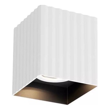 Redo 01-3407 - Stropni spot DELPHI 1xGU10/7W/230V bijeli