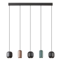 Redo 01-3481 - Luster na sajli BOOM 5xGU10/10W/230V crna/zelena/smeđa