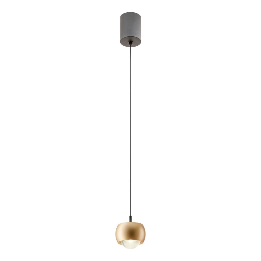 Redo 01-3547 - LED Luster na sajli AVES LED/12W/230V pr. 9,6 cm CRI 90 zlatna
