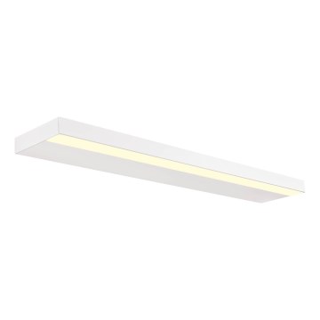 Redo 01-3554 - LED Zidna svjetiljka SEED LED/30W/230V bijela