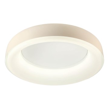 Redo 01-3723 - LED stropna svjetiljka DIP LED/40W/230V 2700/3000/4000/5000/6500K CRI 90 pr. 62,4 cm bež