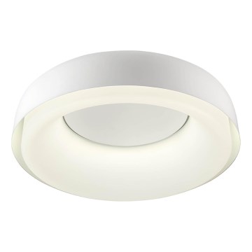Redo 01-3940 - LED stropna svjetiljka DIP LED/30W/230V 2700/3000/4000/5000/6500K CRI 90 Ø 48,6 cm bijela