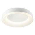 Redo 01-3941 - LED stropno svjetlo DIP LED/40W/230V 2700/3000/4000/5000/6500K CRI 90 Ø 62,4 cm bijela