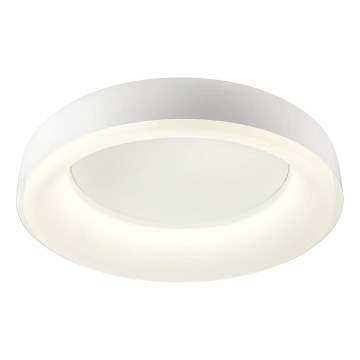 Redo 01-3941 - LED stropno svjetlo DIP LED/40W/230V 2700/3000/4000/5000/6500K CRI 90 Ø 62,4 cm bijela