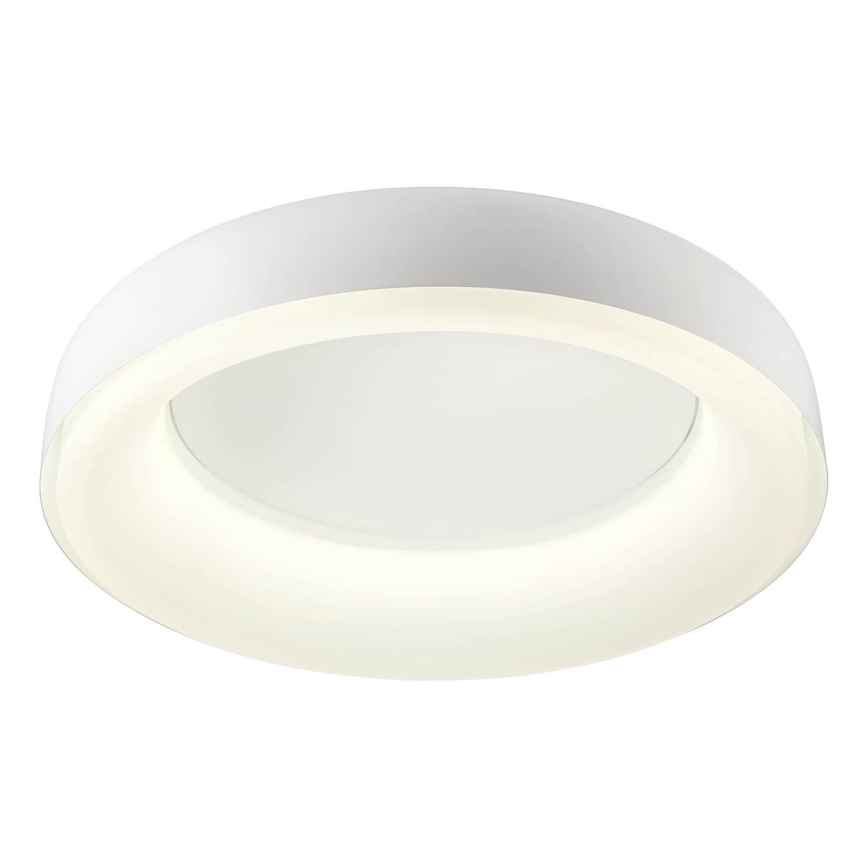 Redo 01-3941 - LED stropno svjetlo DIP LED/40W/230V 2700/3000/4000/5000/6500K CRI 90 Ø 62,4 cm bijela