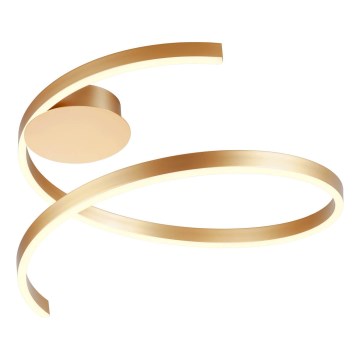 Redo 01-4011 - LED prigušiva stropna svjetiljka SCROLL LED/38W/230V 3000K/4000K/6000K CRI 90 Ø 60 cm zlatna