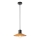 Redo 01-4054 - Luster na sajli FRESNO 1xE27/42W/230V pr. 24 cm