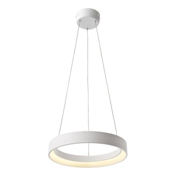 Redo 01-671 - LED Luster na sajli LOOP LED/38W/230V pr. 45 cm bijela