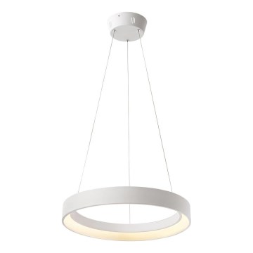 Redo 01-672 - LED Luster na sajli LOOP LED/48W/230V pr. 60 cm bijela
