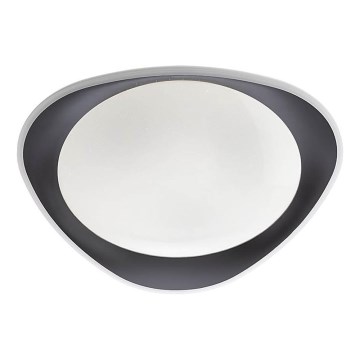Redo 05-922 - LED Stropna svjetiljka VERENA LED/24W/230V antracit