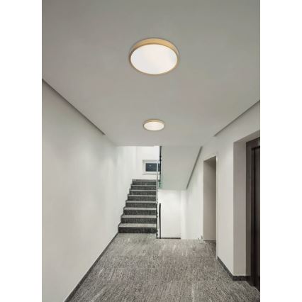 Redo 05-932 - LED Stropna svjetiljka KNOB LED/36W/230V 3000K-6500K 40 cm zlatna