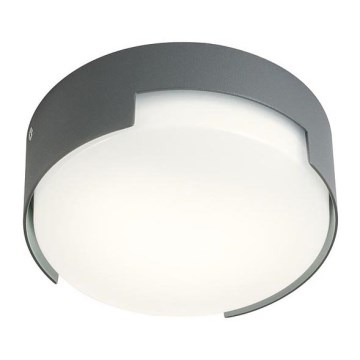 Redo 90003 - LED Vanjska stropna svjetiljka SKOR LED/12W/230V IP54 siva