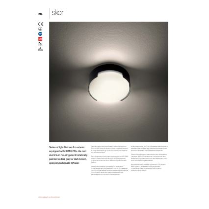 Redo 90003 - LED Vanjska stropna svjetiljka SKOR LED/12W/230V IP54 siva