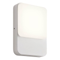 Redo 90128 - LED vanjsko zidno svjetlo COLIN LED/9W/230V 4000K IP54 bijela