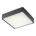 Redo 90157 - LED Vanjska stropna svjetiljka MARINA LED/12W/230V 22x22 cm IP65 antracit