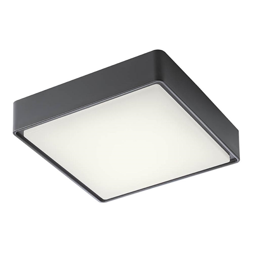 Redo 90157 - LED Vanjska stropna svjetiljka MARINA LED/12W/230V 22x22 cm IP65 antracit