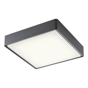 Redo 90158 - LED Vanjska stropna svjetiljka MARINA LED/16W/230V 29,6x29,6 cm IP65 antracit
