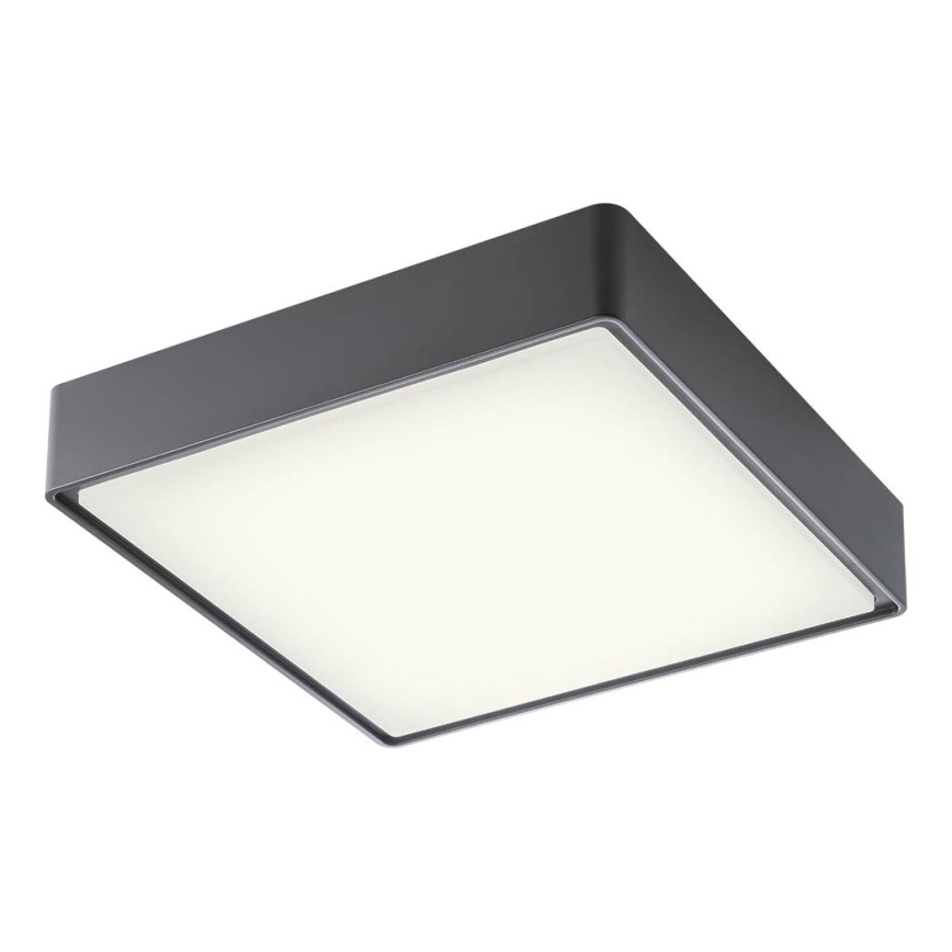 Redo 90158 - LED Vanjska stropna svjetiljka MARINA LED/16W/230V 29,6x29,6 cm IP65 antracit