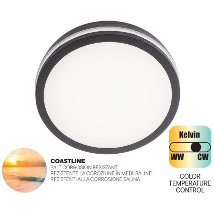 Redo 90286 - LED Vanjska stropna svjetiljka ISOLA LED/24W/230V pr. 26 cm 3000/4000/6500K IP54 antracit
