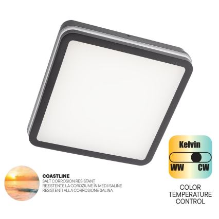 Redo 90288 - LED Vanjska stropna svjetiljka ISOLA LED/24W/230V 26x26 cm 3000/4000/6500K IP54 antracit