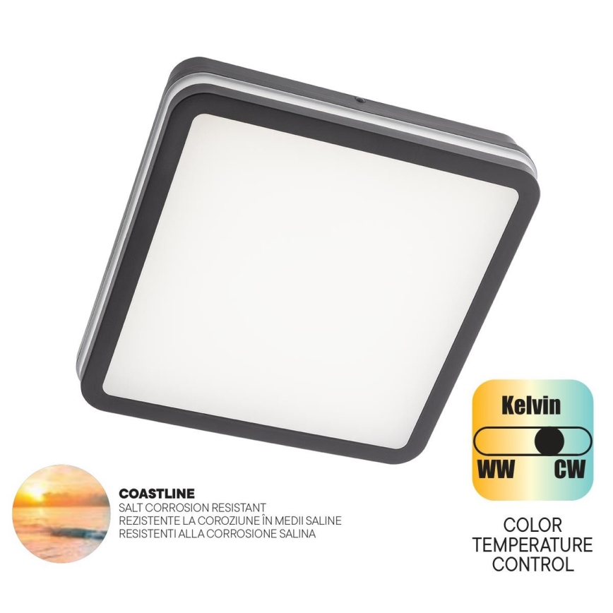 Redo 90288 - LED Vanjska stropna svjetiljka ISOLA LED/24W/230V 26x26 cm 3000/4000/6500K IP54 antracit