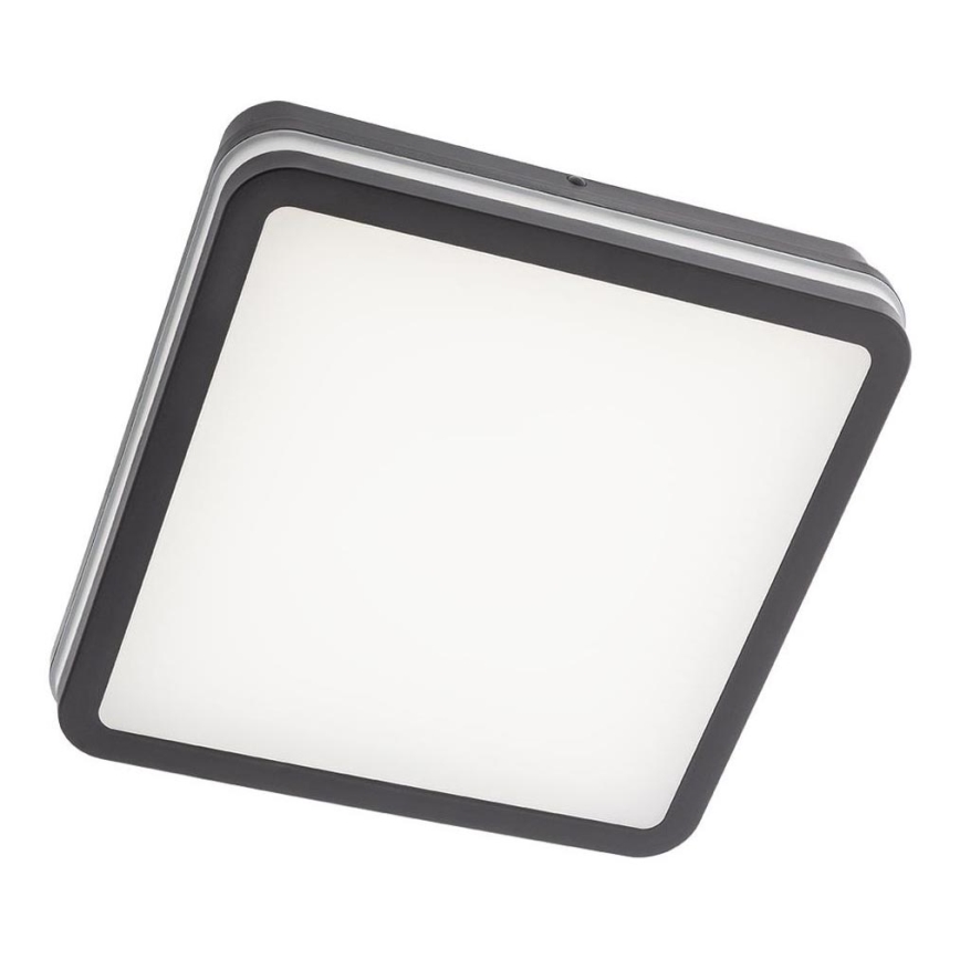 Redo 90292 - LED Vanjska stropna svjetiljka sa senzorom ISOLA LED/24W/230V 26x26 cm 3000/4000/6500K IP54 antracit